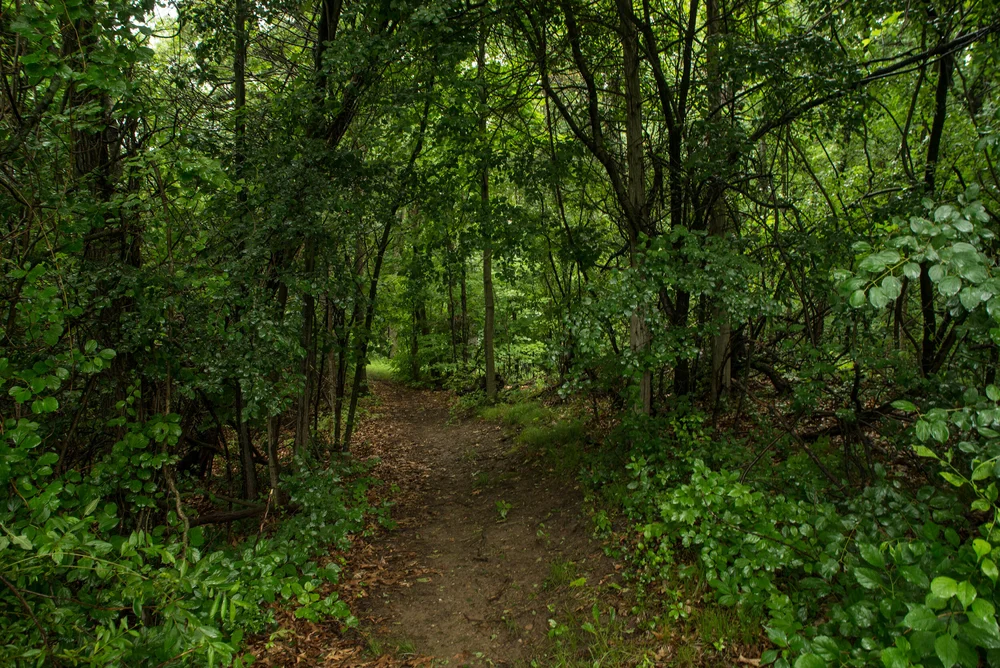Lenawee-33.jpg