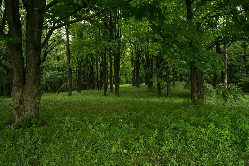 Lenawee-38.jpg