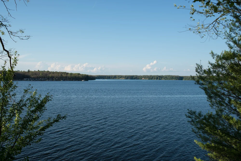 Newaygo-12.jpg