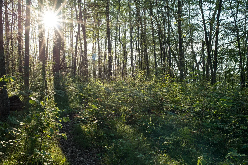 Newaygo-19.jpg