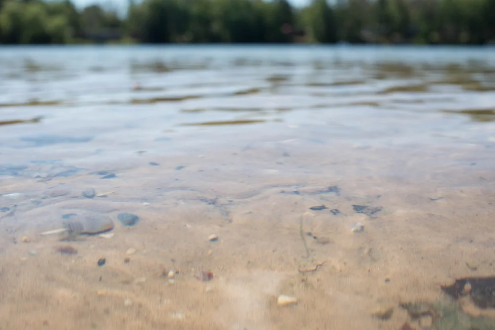Lake-10.jpg