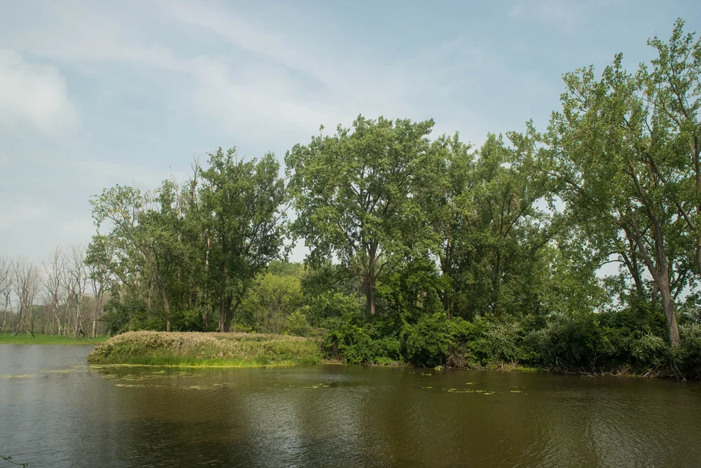 Monroe-21.jpg