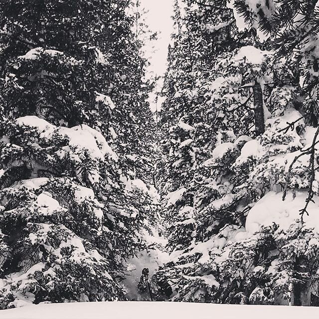 Diggin Deep @coppermtn with @atomicski !  Happy #powderday !  #spacesnottrees #weareskiing