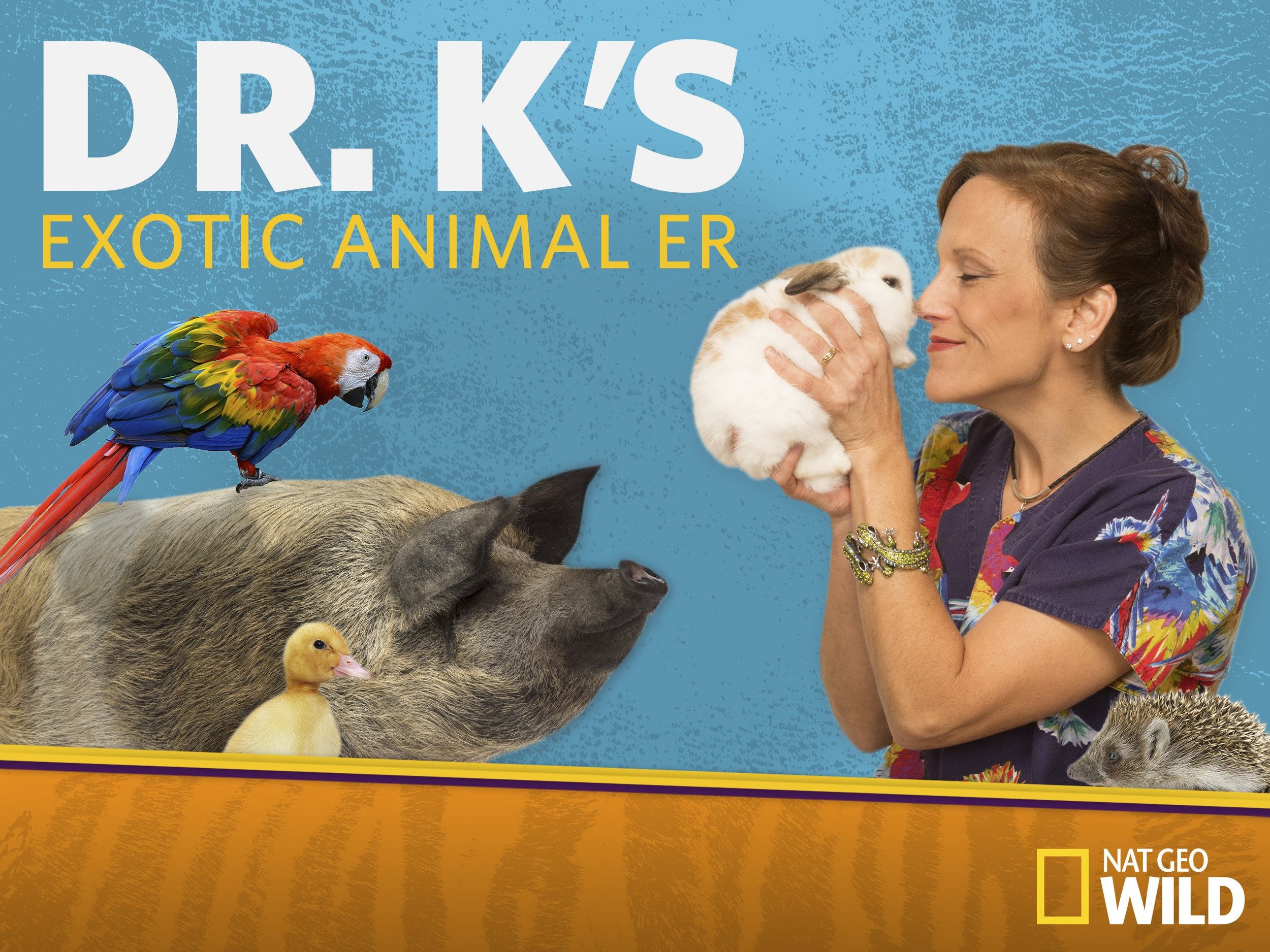 Dr. K's Exotic Animal ER.jpg
