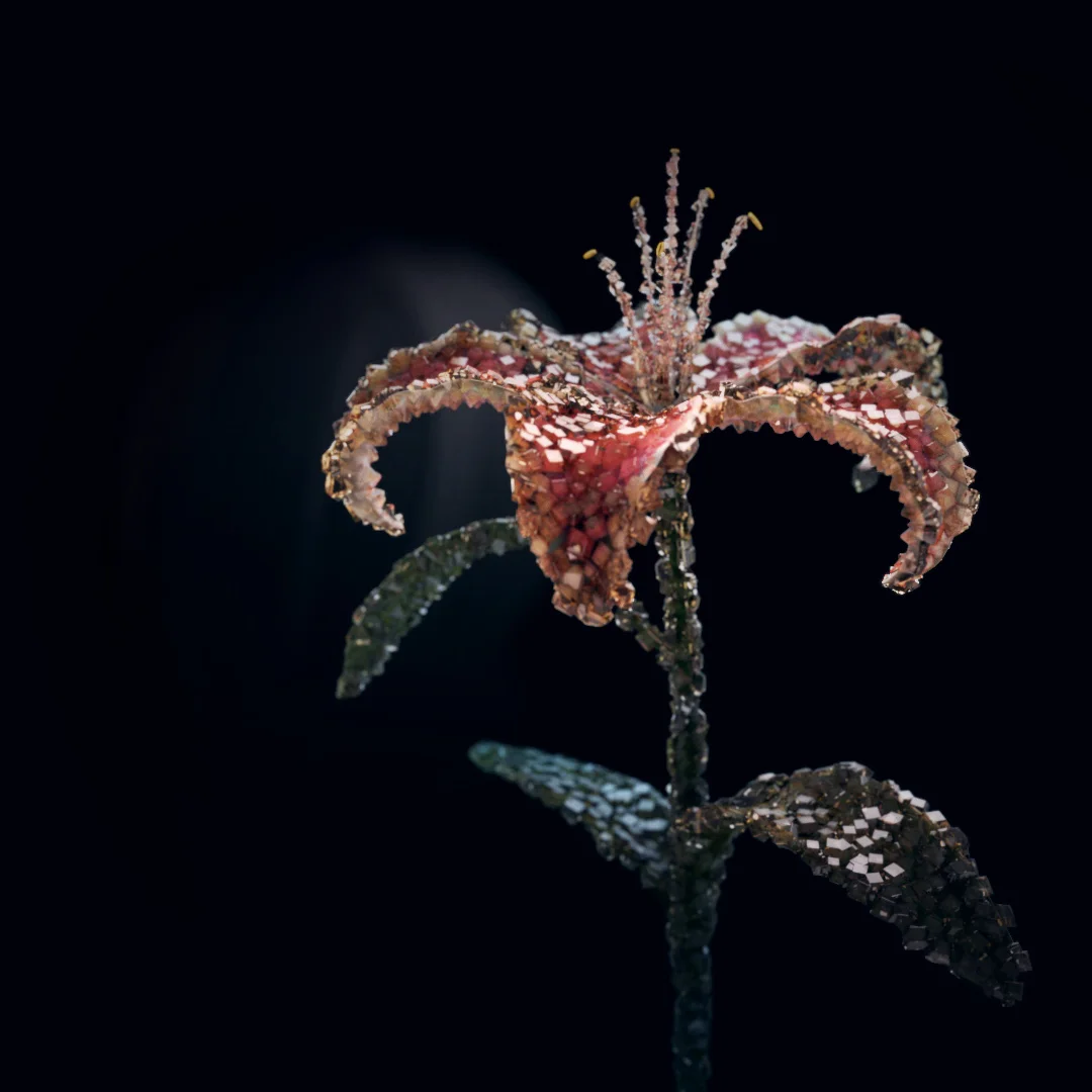 Dolby 'Prime' Full Version