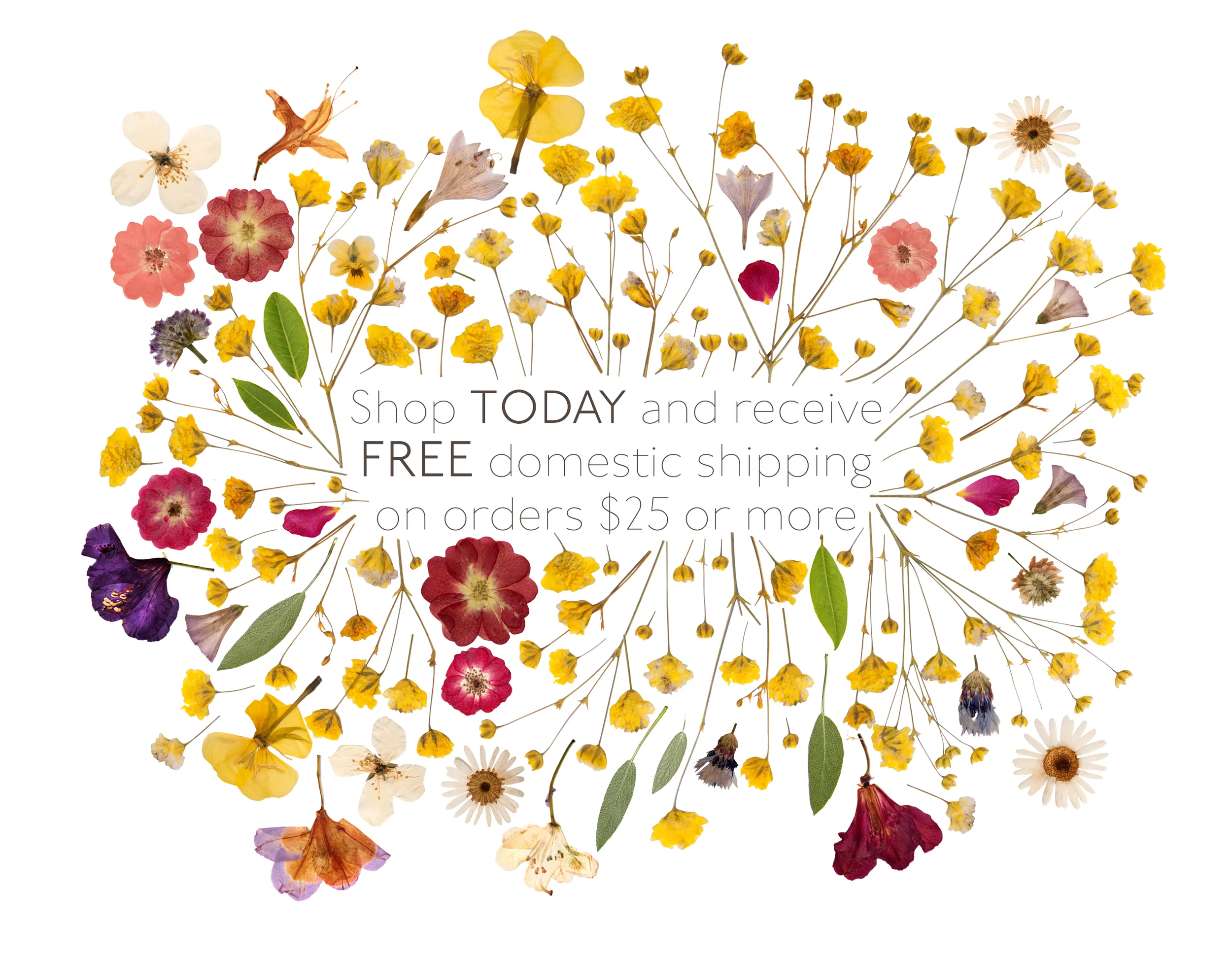 FREE_SHIPPING_OVER_25_NEWSLETTER.jpg