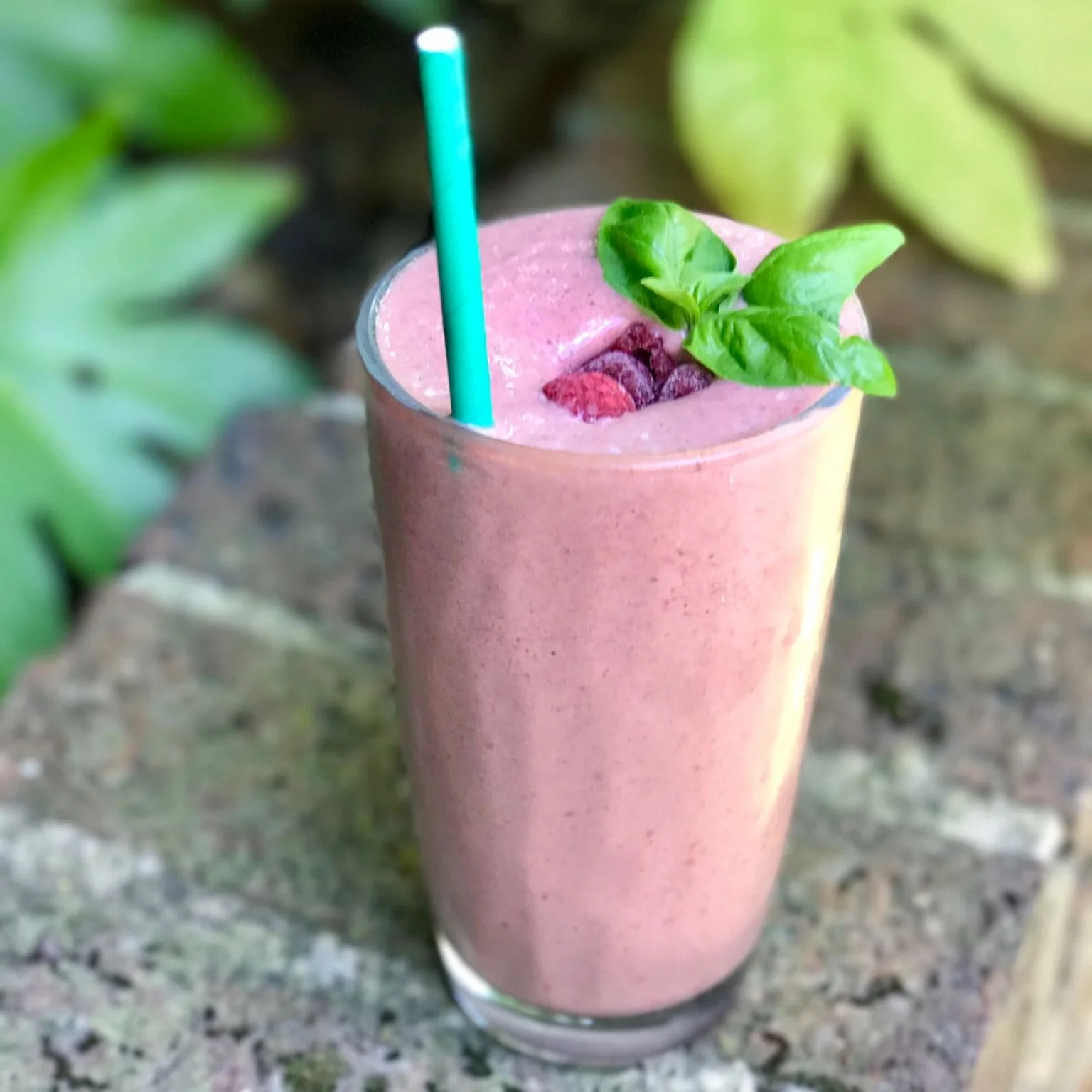 protein powder ; gluten free; 99% lactose free; sugar free; fructose free; low carbohydrate; high protein. & it tastes amazing!!! shop now