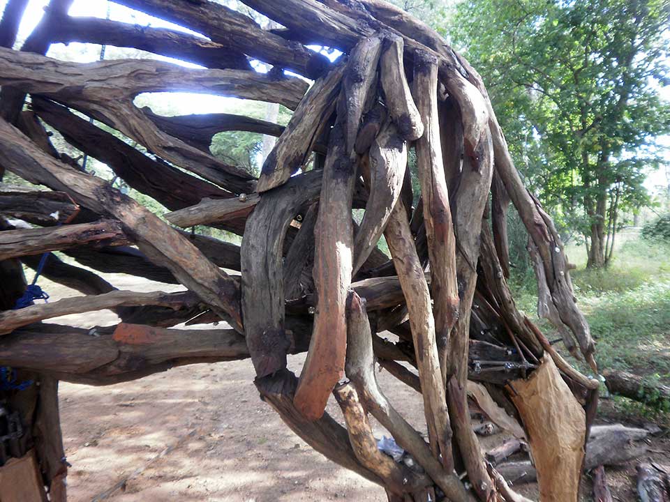 Detail, Hyena . Mopane heartwood and steel. (2010)