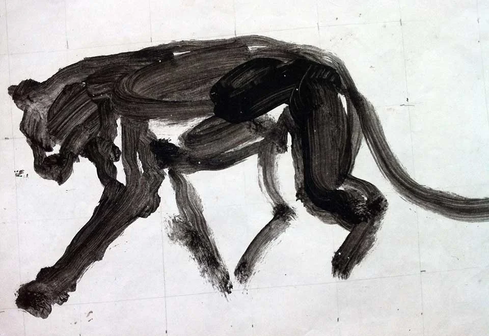 Leopard sketch . Ink on paper. 40x30cms. (2010)