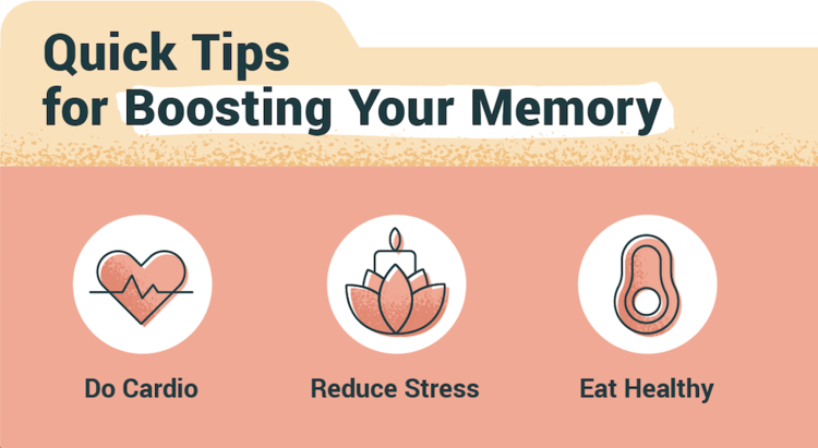 GUEST POST, University of St. Augustine: How to Boost Memory and Memorize Information