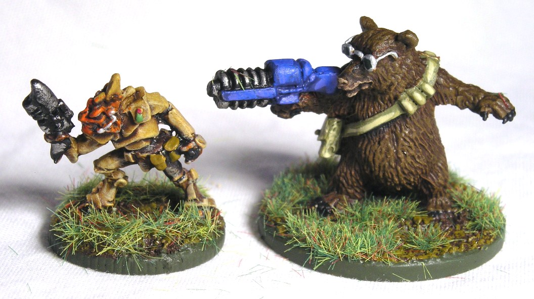 A comparison with Khurasan's Felids