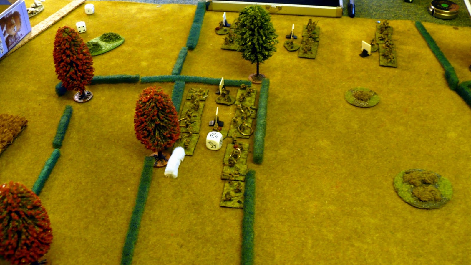 AAR from Sergeant Steiner