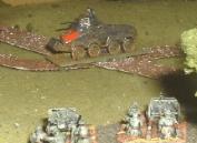 French 47mm about to surprise a SdKfz 231