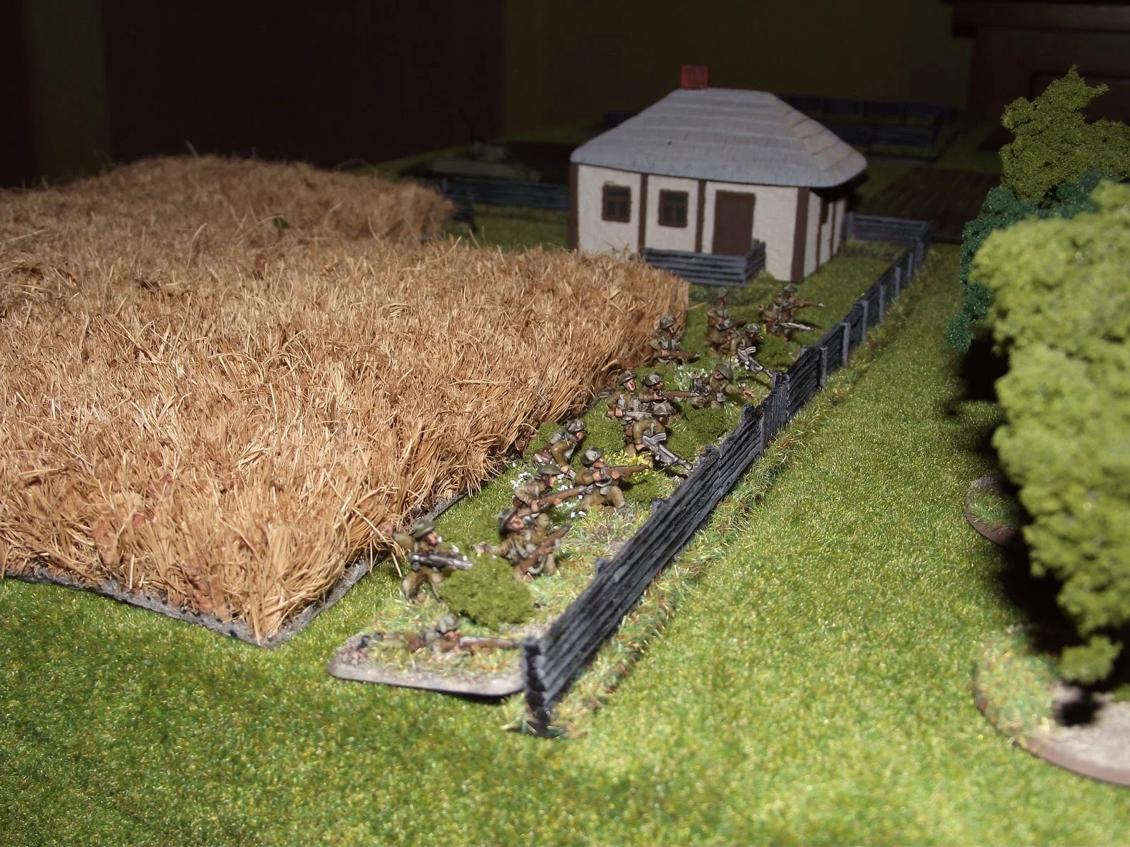 DSCF2378.jpg