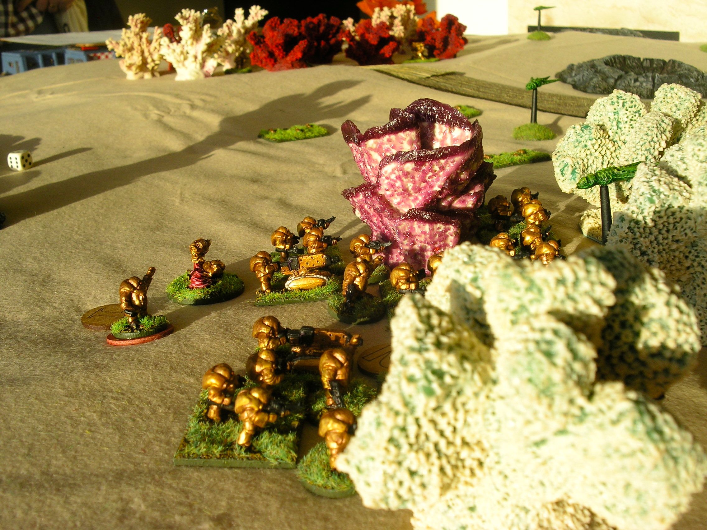 gitungi platoon spotted (note veg scouting drone centre right)
