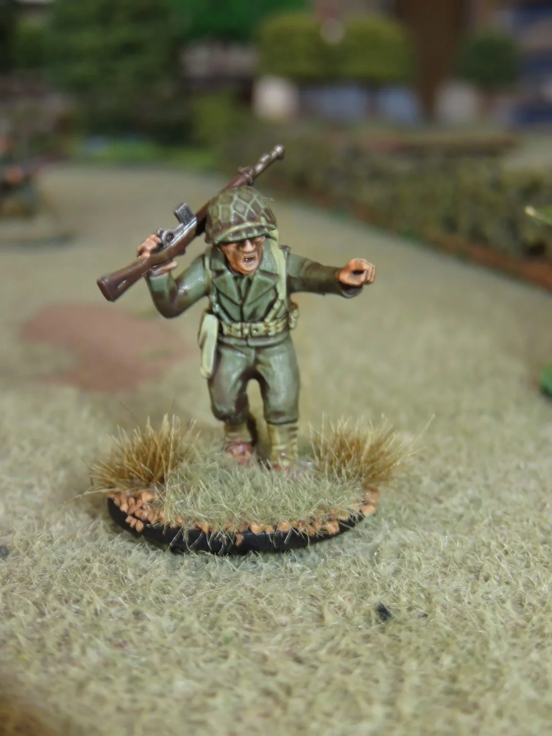 IMG_0690 (Large).JPG