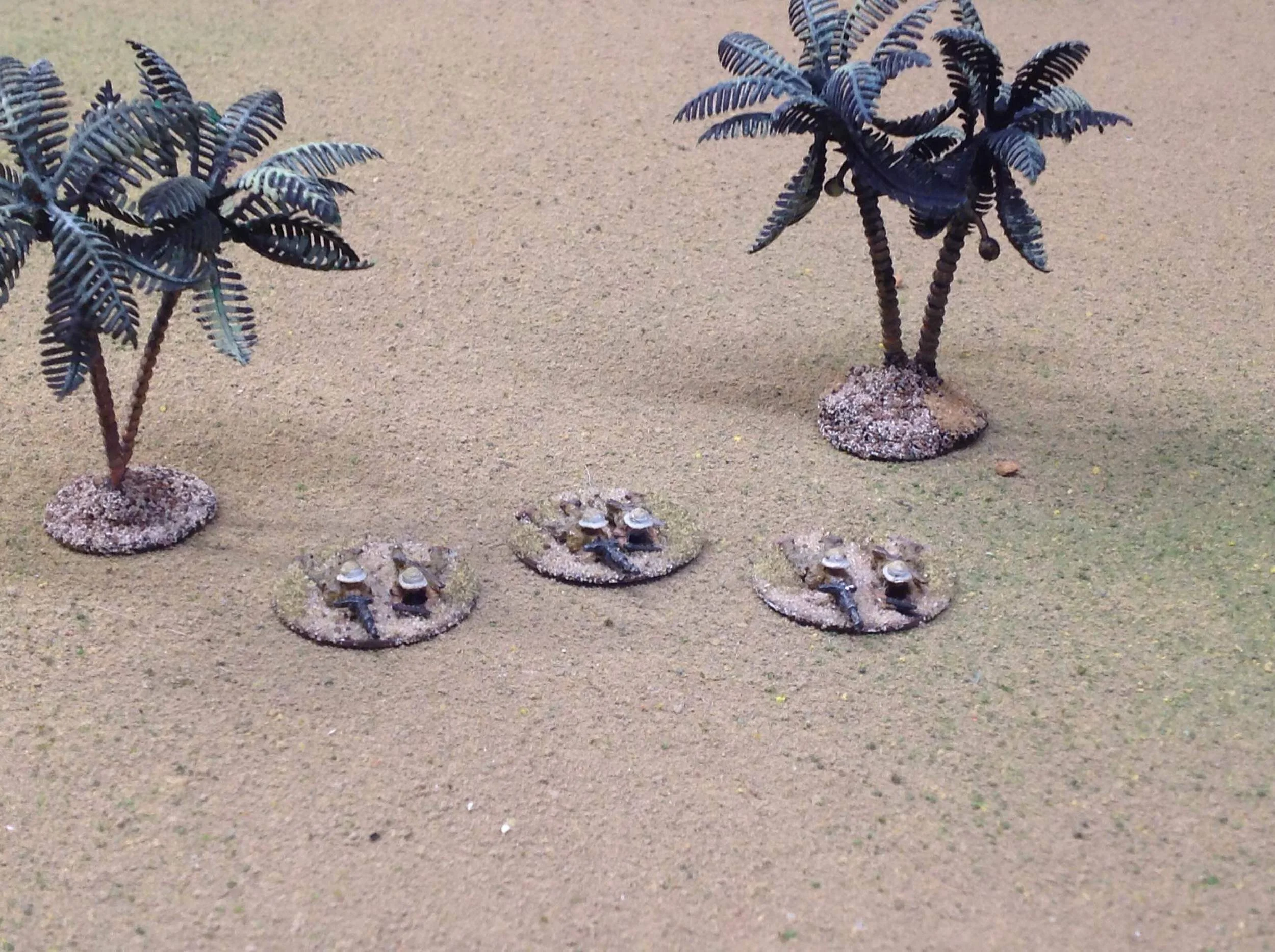 25th January (6 points)