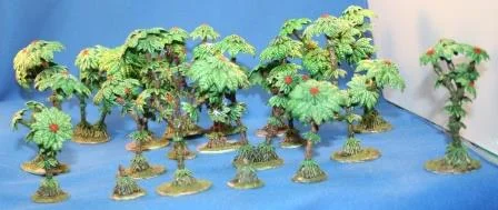 25th January (36 points)