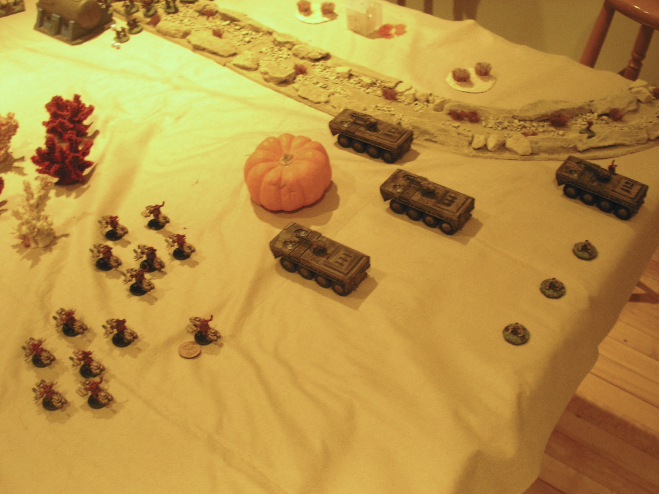the First wave of felids arrive