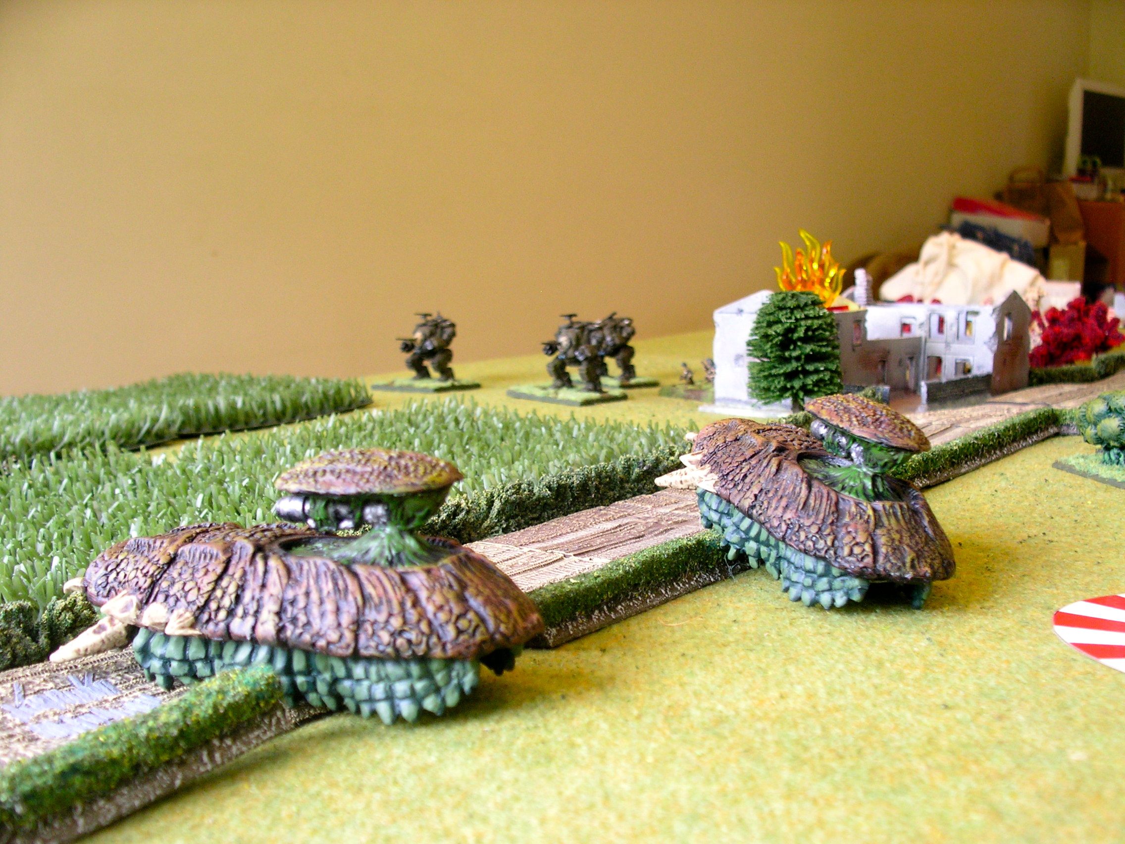 a close up of the carapace tanks