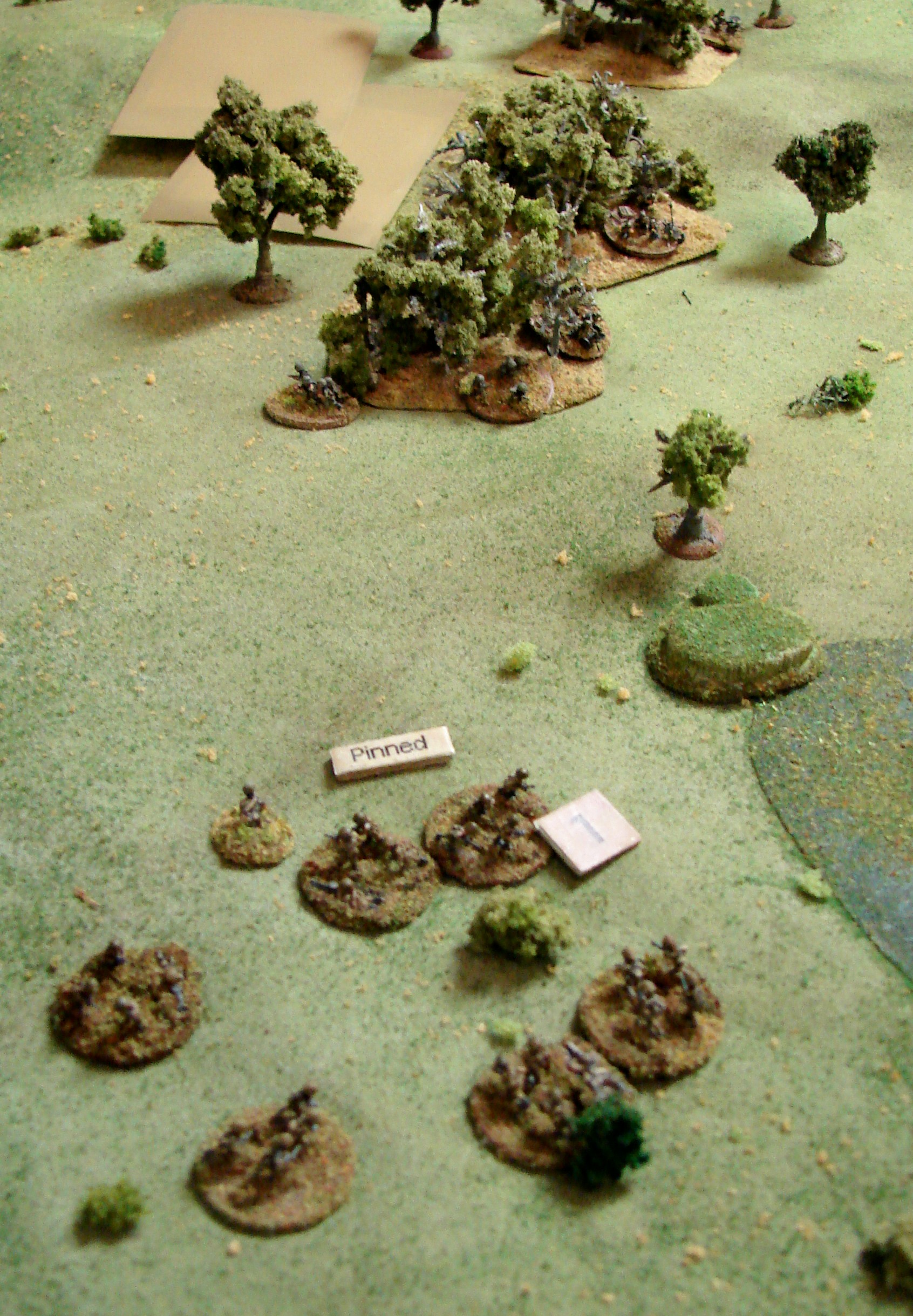 Taking fire from the trees