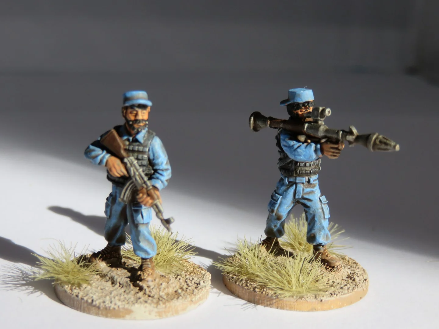 IMG_1310 (Large).JPG