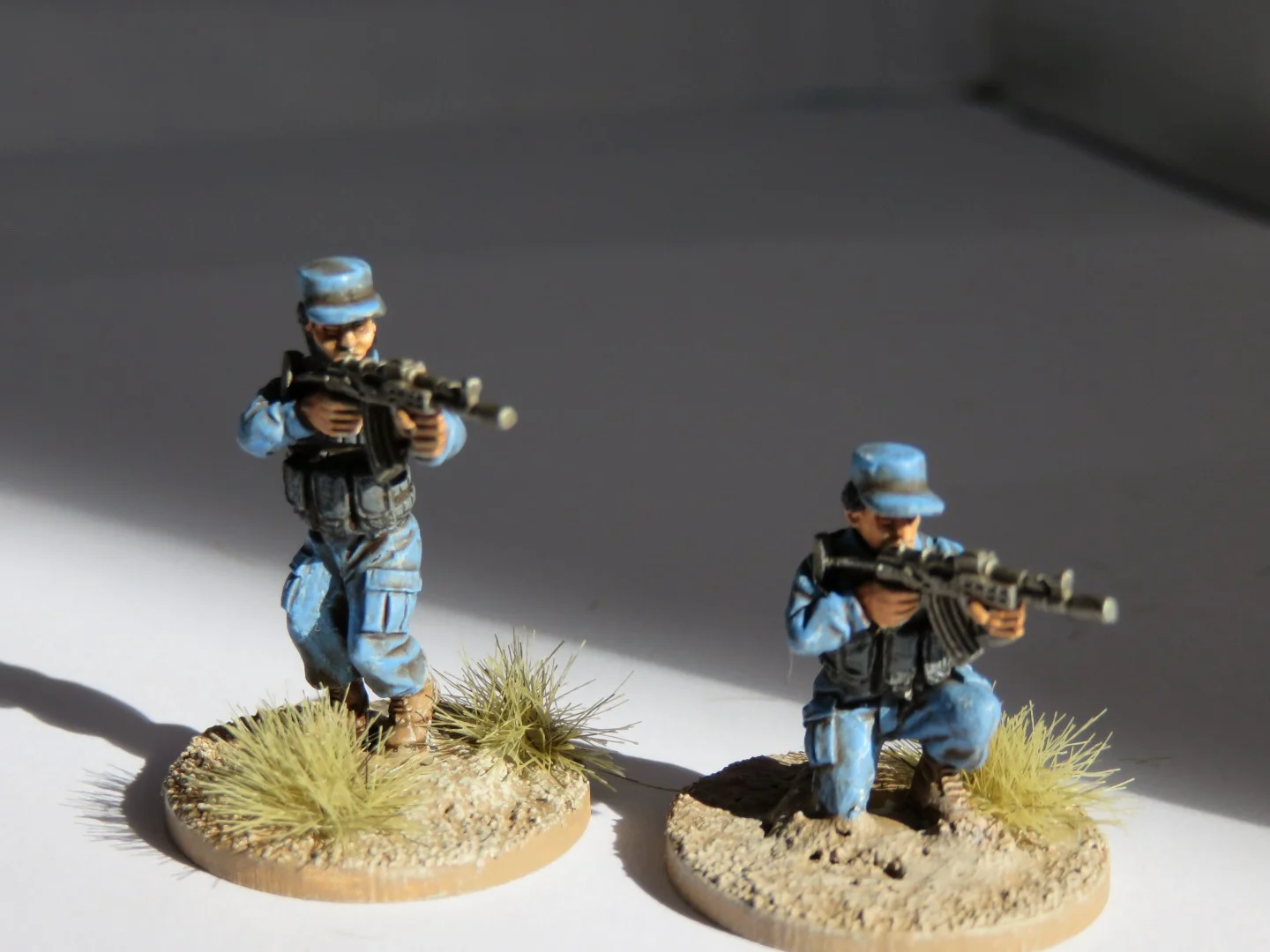 IMG_1309 (Large).JPG