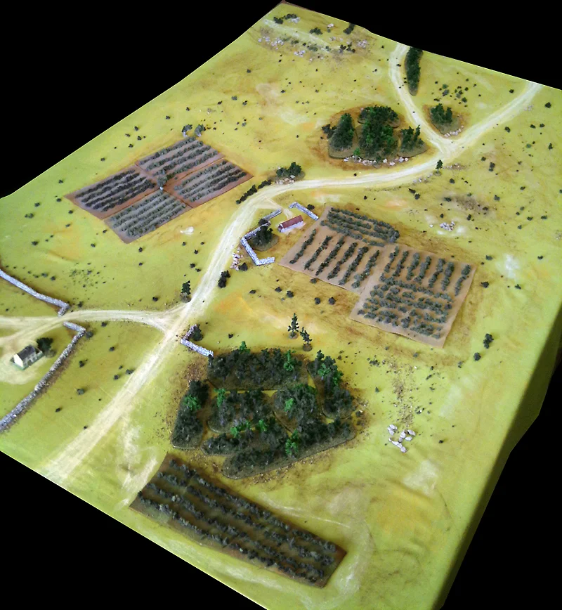 The battlefield. The near table edge is the South. The area is farmland with vineyards and olive orchards dotting the landscape.
