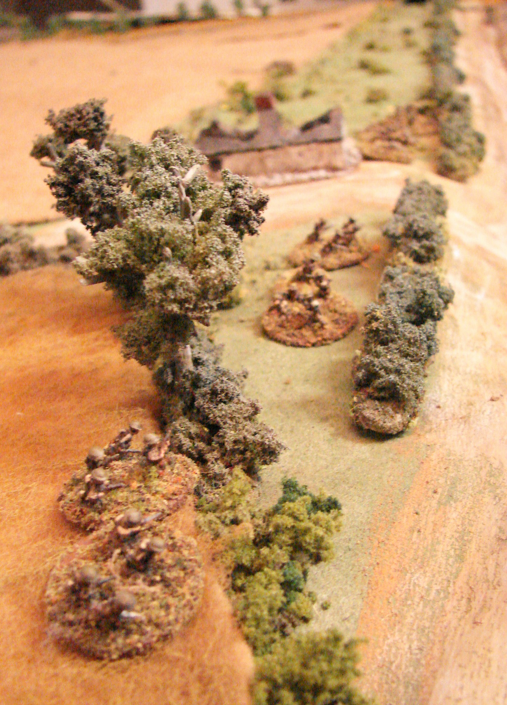 Seaforths at the RR cut The right hand platoon is down to 2/3rd strength, but has driven the grenadiers back from the hedges overlooking the cut.
