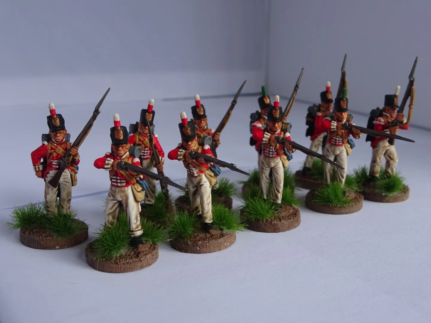 DSC00231 (Large).JPG