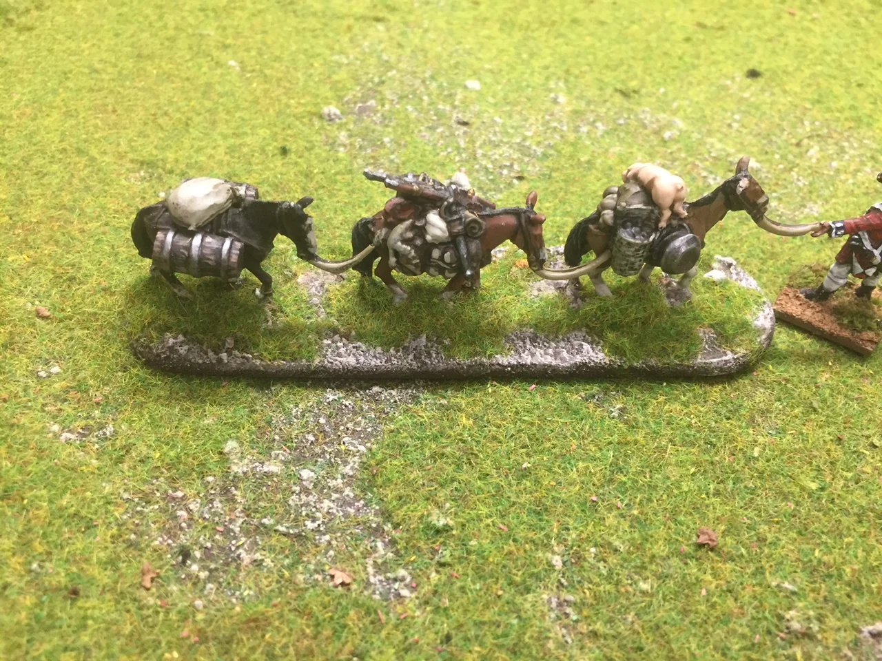 6th February (16 points)