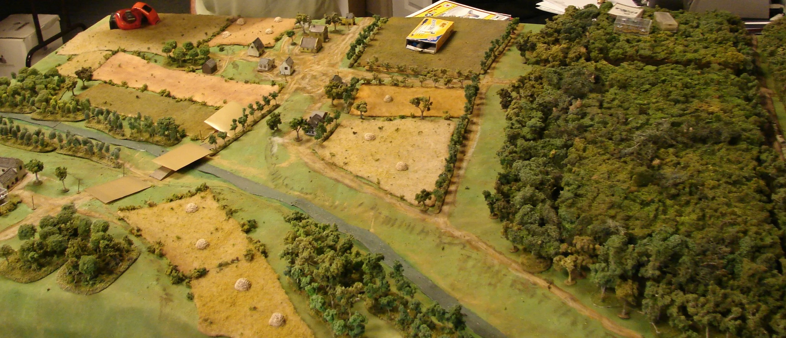 From the woods The Poles would send out one group of Tankettes, FT17s along the road that skirts the woods and stream and the other armor group and assault platoon would come out from the road in the center of the table.