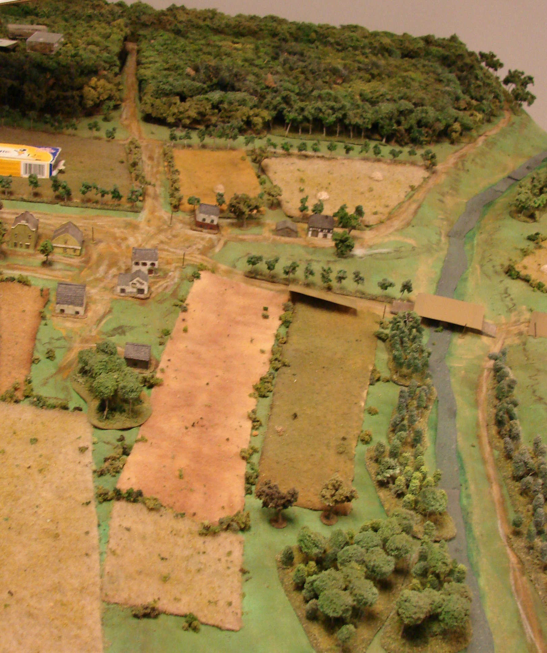 Table View The RR is in the thick woods at the top of the table. The Germans are trying to secure the bridge (where 3 blinds are located, hiding 3 armored cars). The Poles get to start within 6" of the woods/road leading to the train.