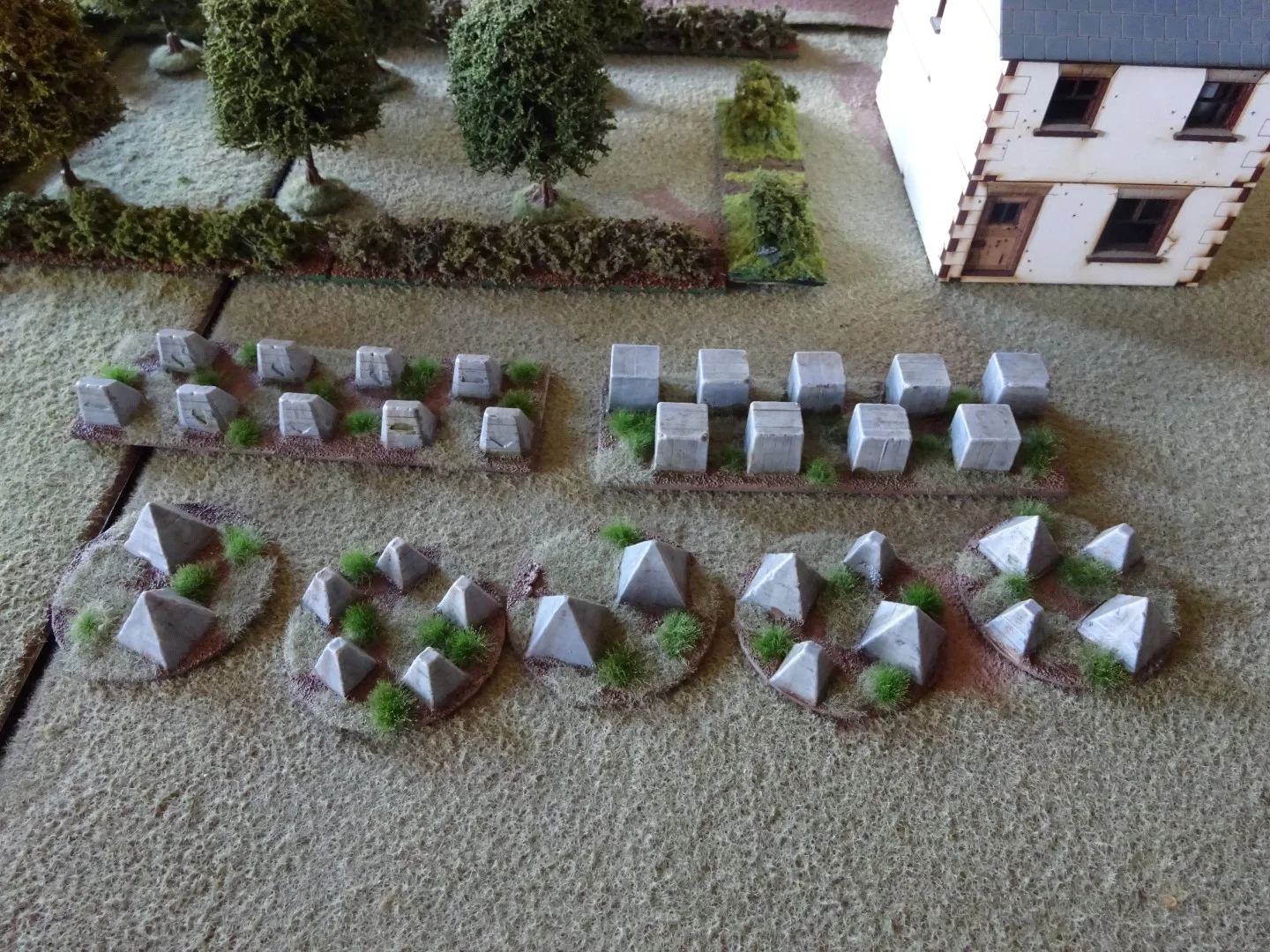 DSC00246 (Large).JPG