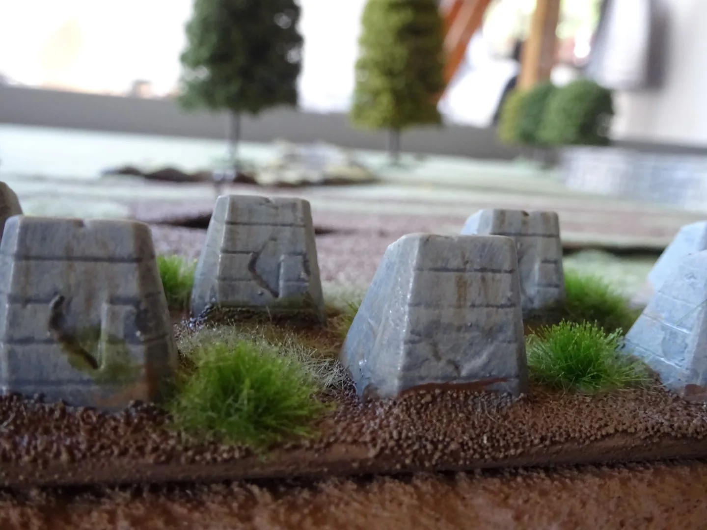 DSC00248 (Large).JPG