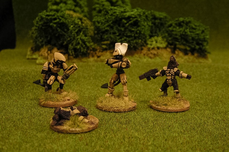 Platoon command: Soriog magnate-officer, officer's veteran Soriog assistant, prostrate Raug Ceepay runner, and Raug Windhowler.