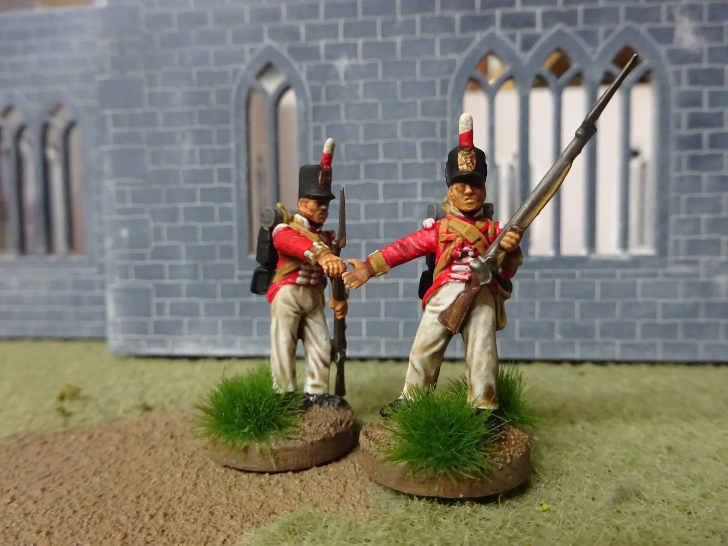 DSC00356 (Large).JPG