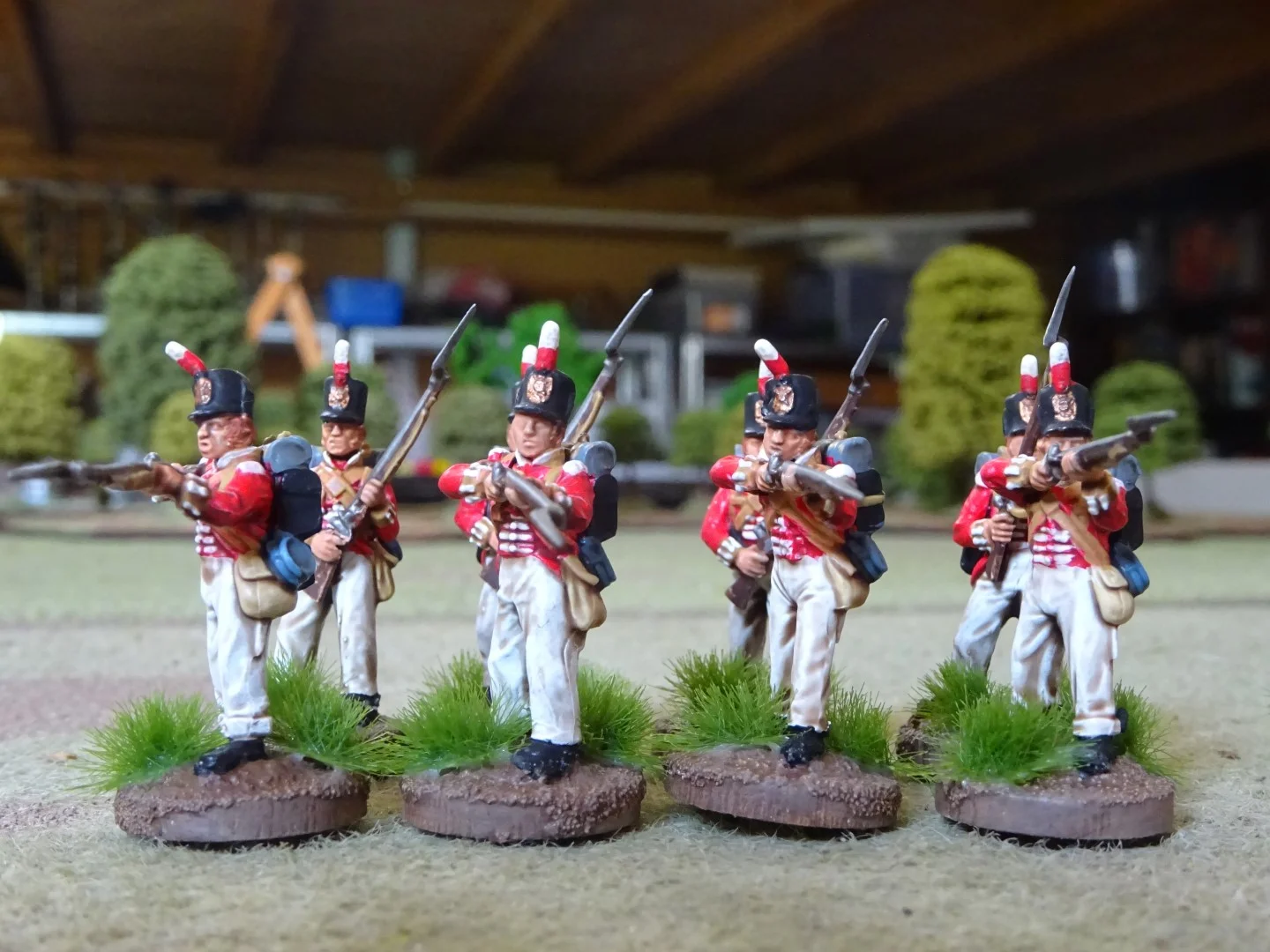 DSC00912 (Large).JPG