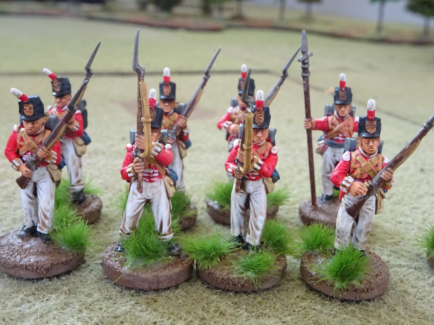 DSC00917 (Large).JPG