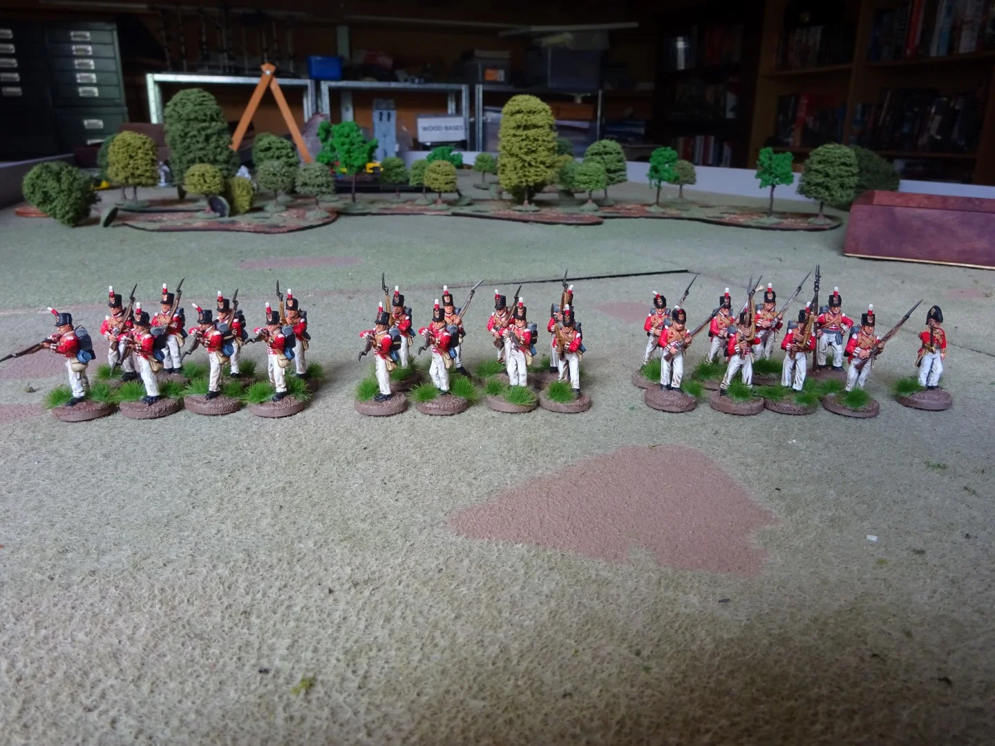 DSC00910 (Large).JPG