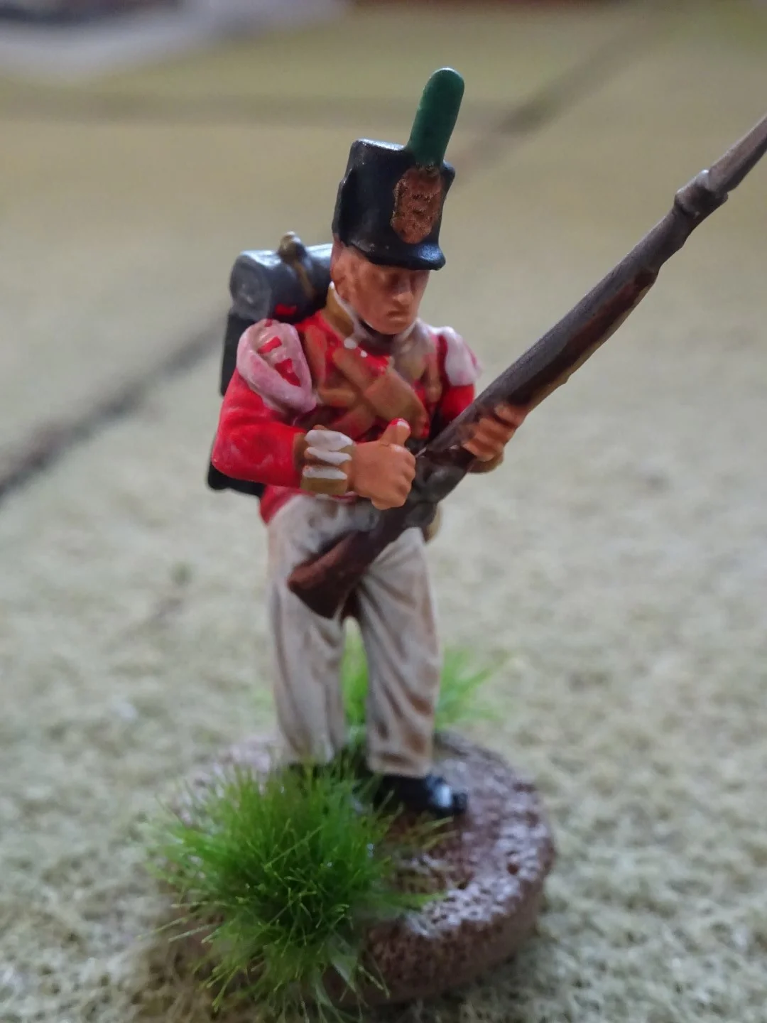 DSC00990 (Large).JPG