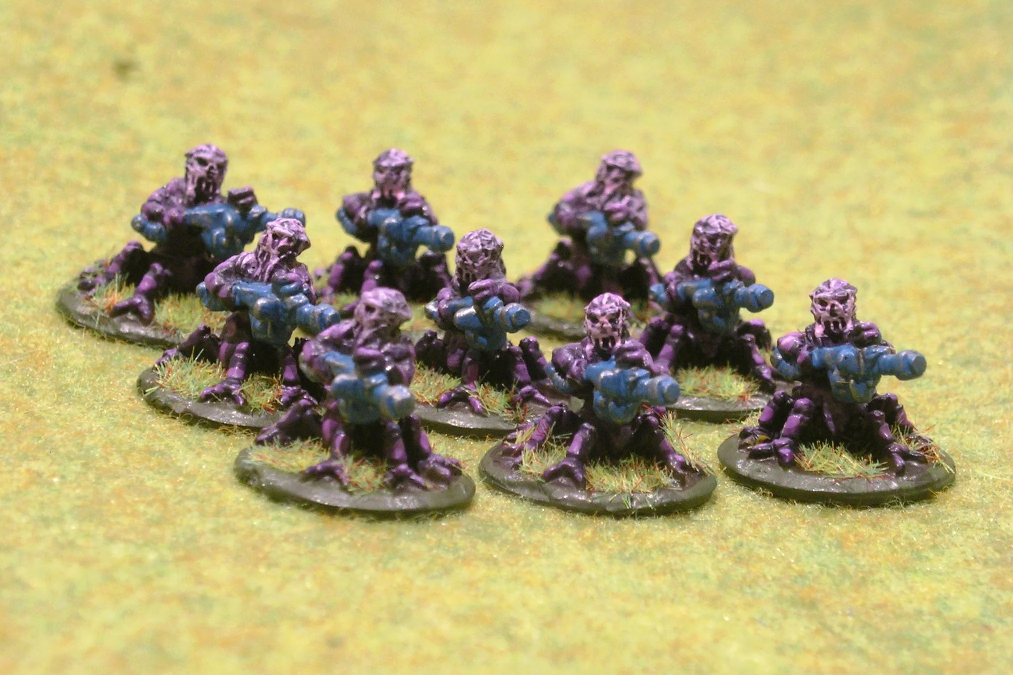 30th January 2017 (9 points)