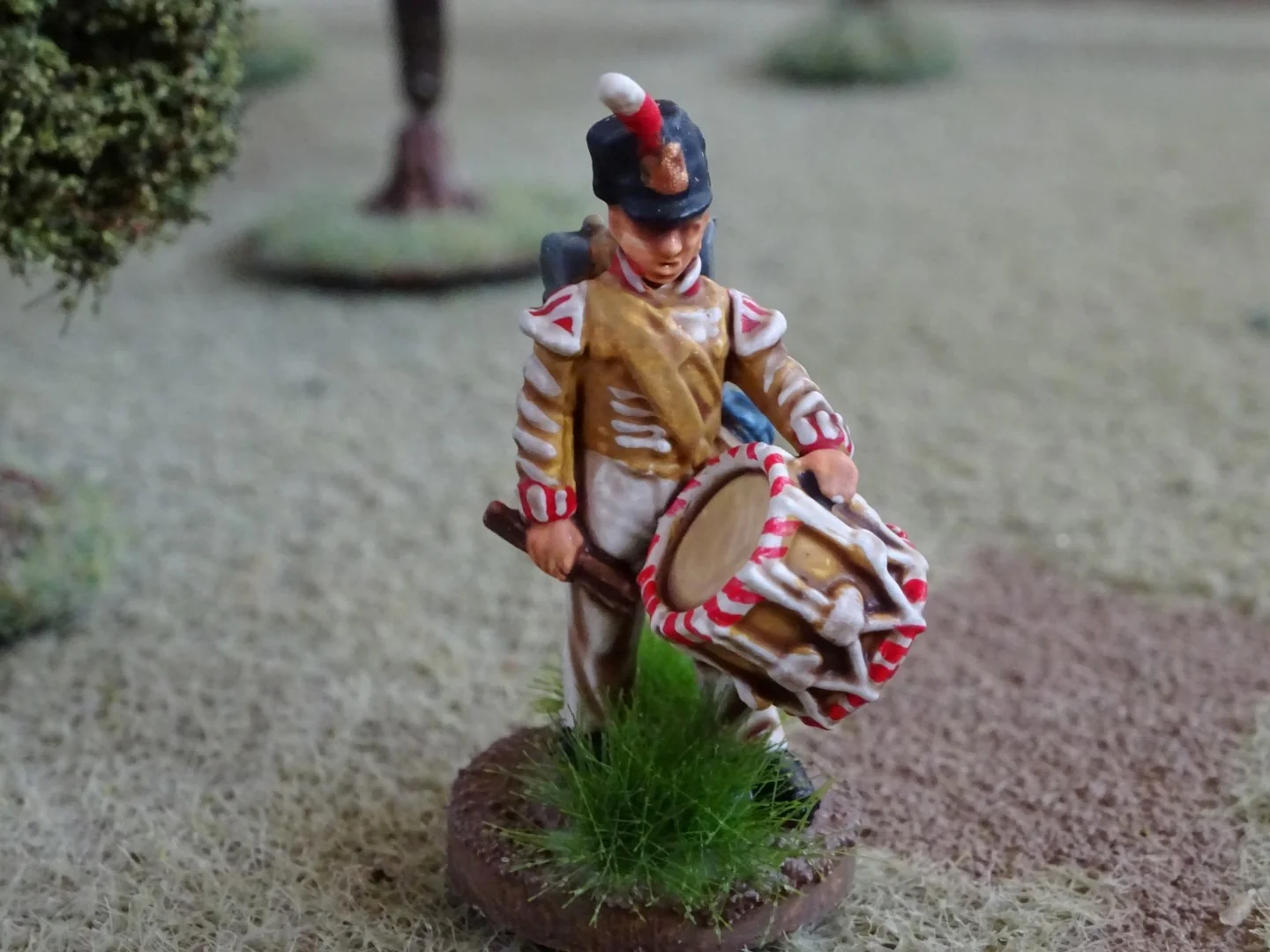 DSC01152 (Large).JPG