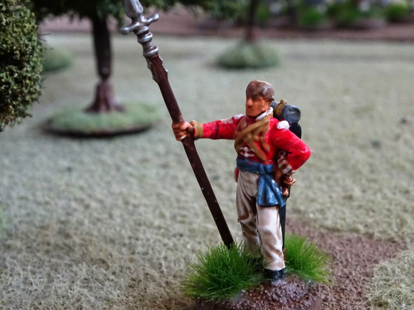 DSC01156 (Large).JPG