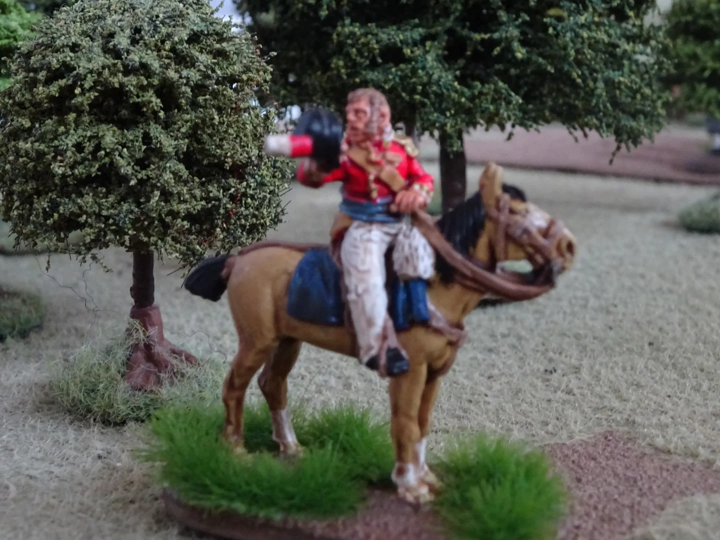 DSC01147 (Large).JPG