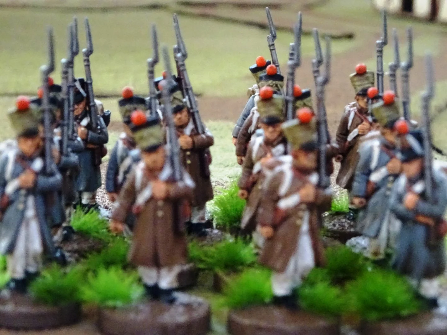 DSC01144 (Large).JPG