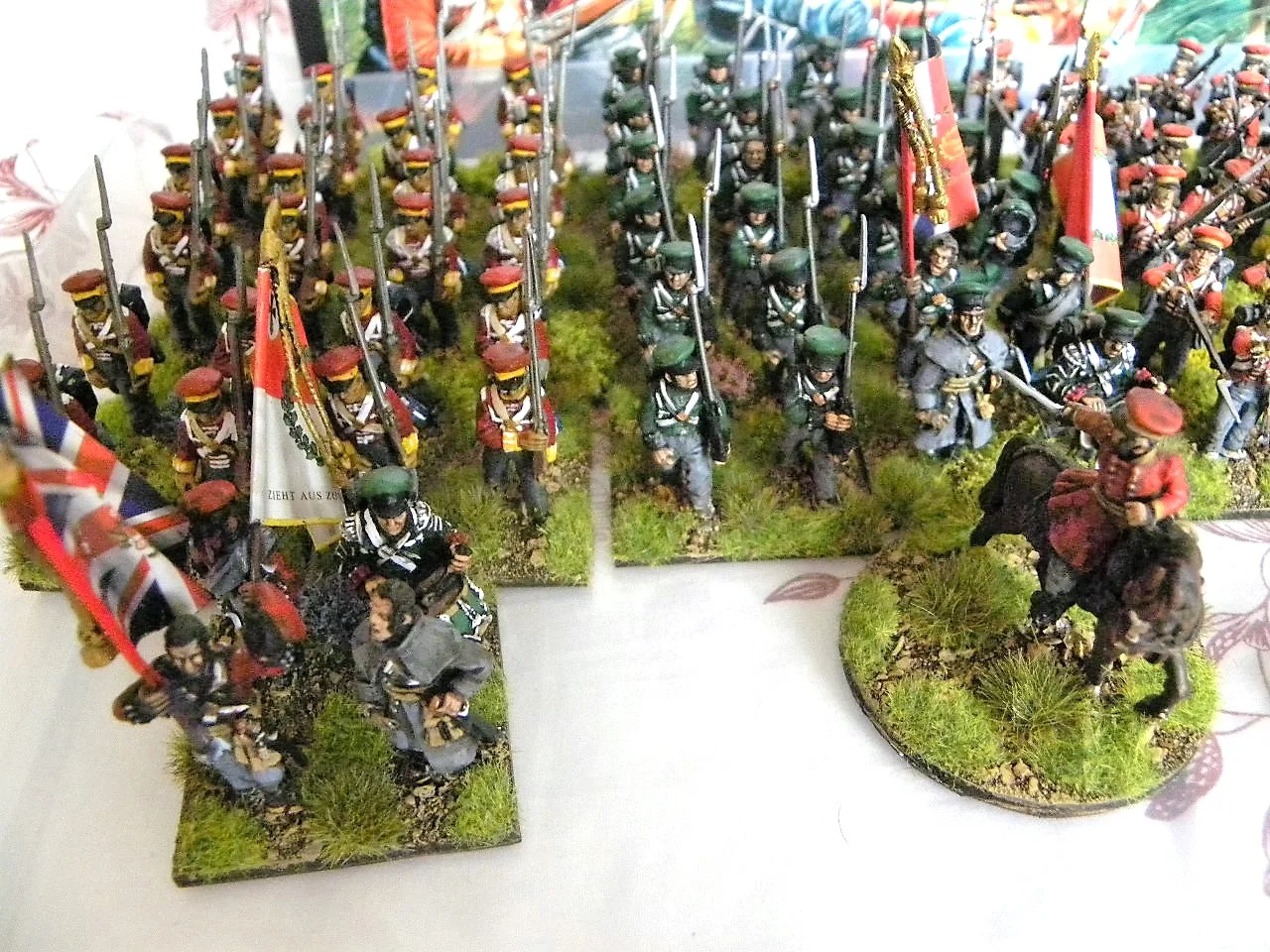 DSCN8339.JPG