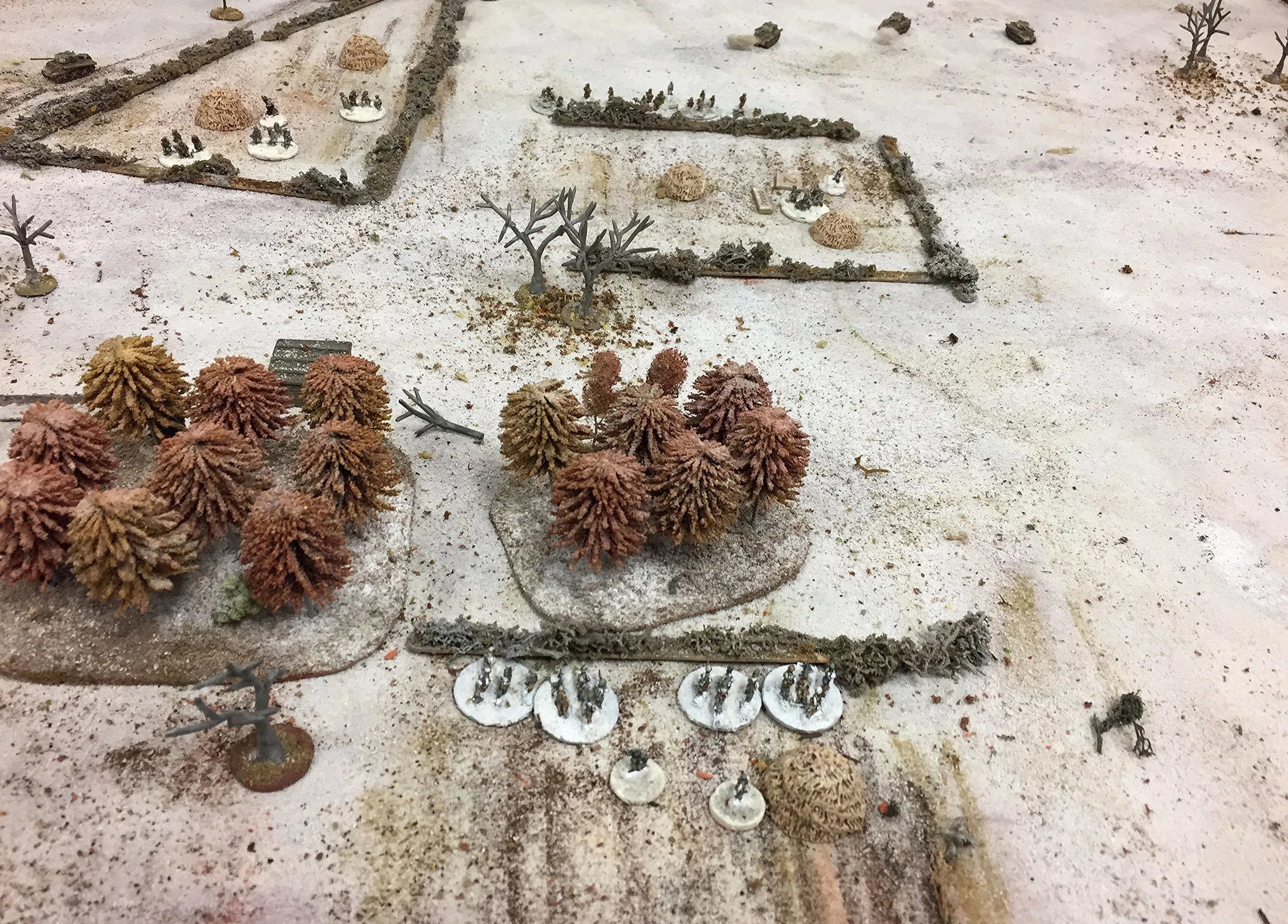 Grenadiers open up from a Hedgeline