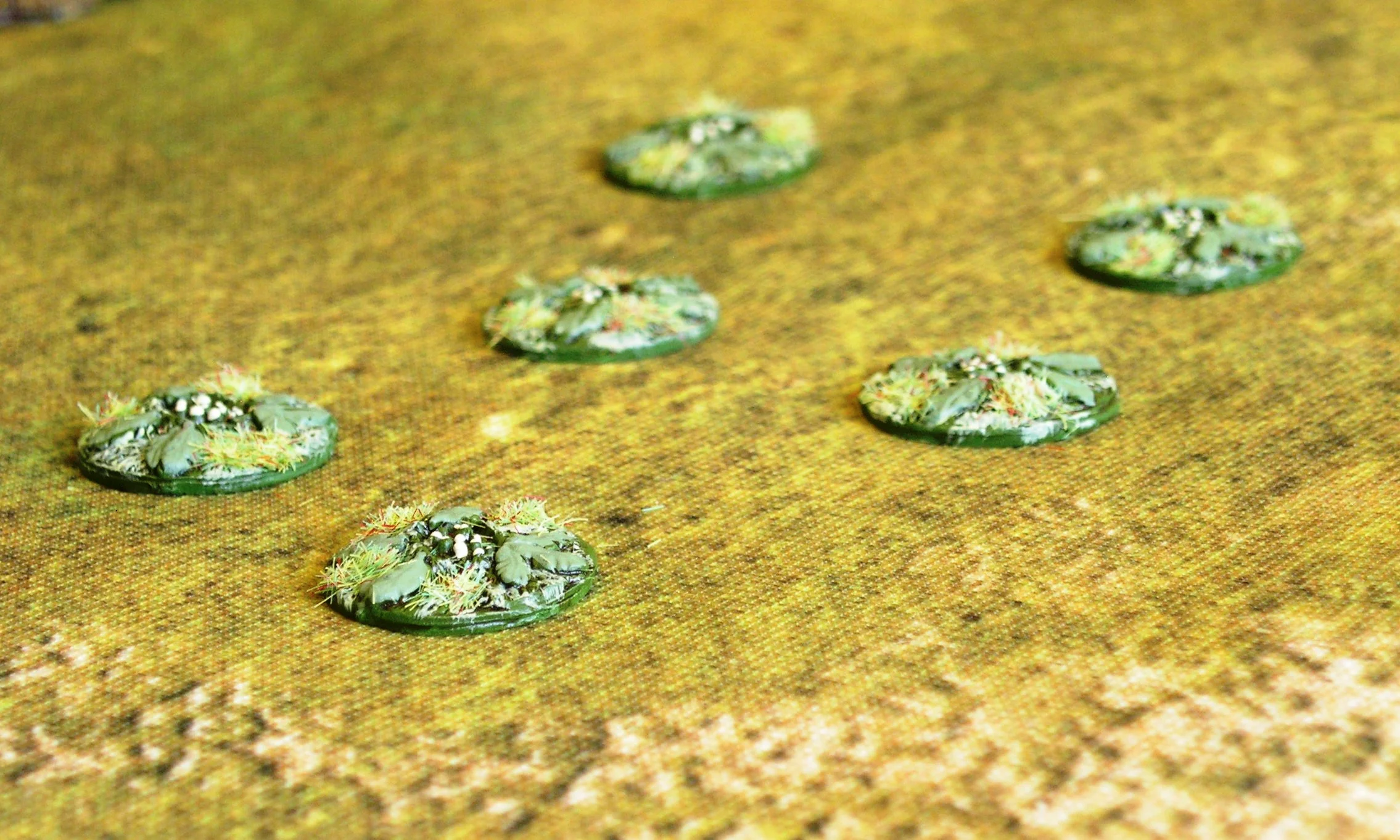 23rd July 2017 (6 points)