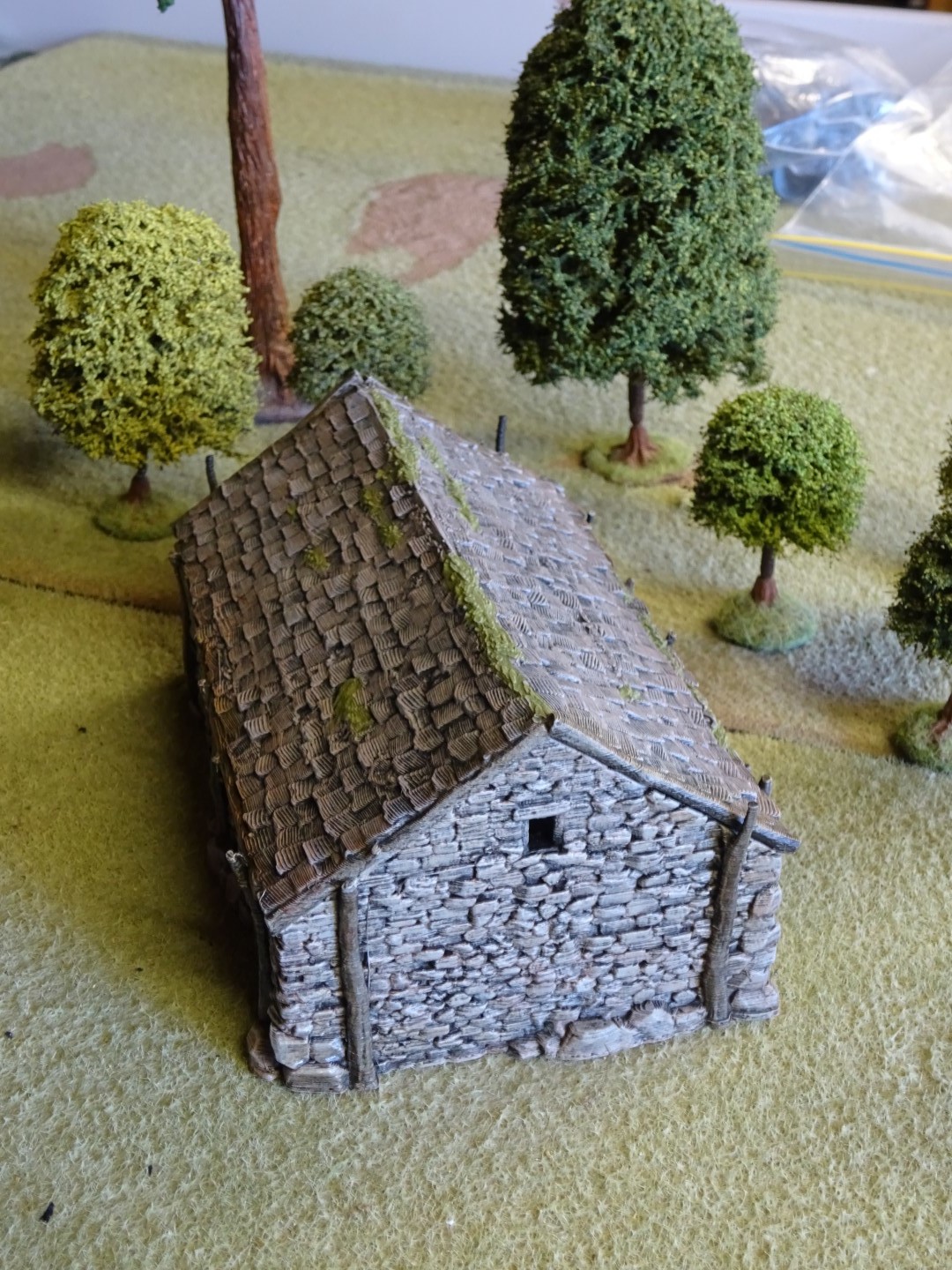 DSC01282 (Large).JPG